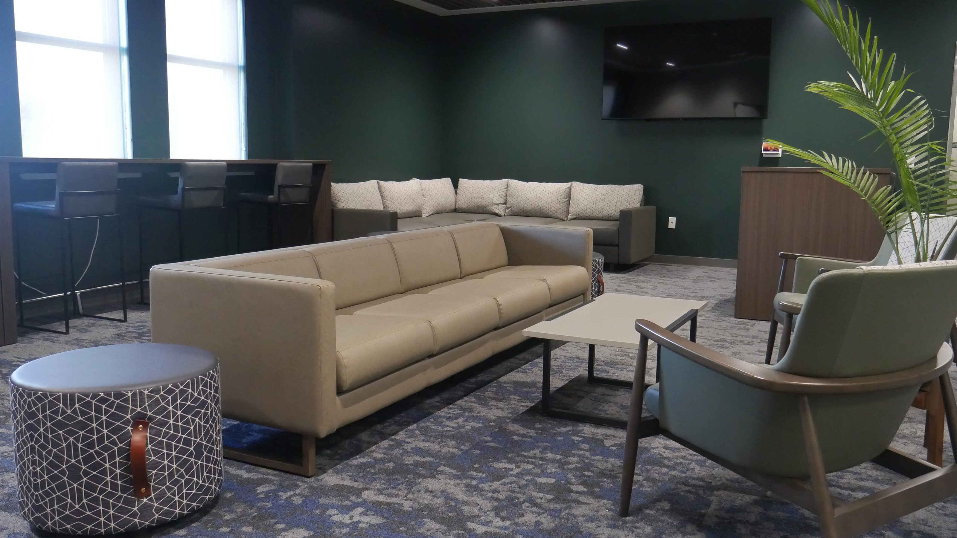 Study Area1